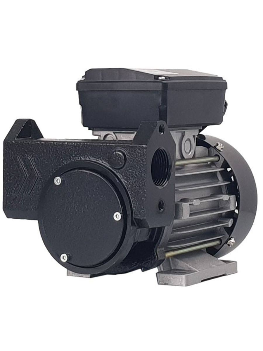 Перейти на страницу товара Gespasa IRON-50 230V AC - Самовсасывающий роторный лопастной электронасос для ДТ
